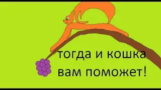 о помощи котам