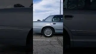 Lowered or Stock Panther? 