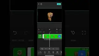 How to remove the green screen on the background 