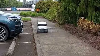 Fun With Robots