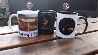 My Winter Pond Update, A New Mug with A Competition Update