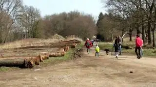 Marche IVV Wattwiller 12 03 17