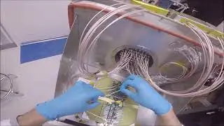 Calibrating Detectors Feb 8 2022