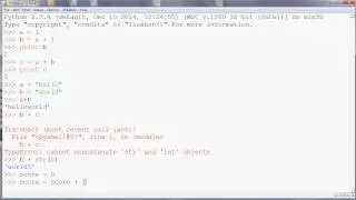 Performing Calculations with Variables in Python