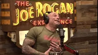 Hilarious clip of Matt Serra on JRE on dania white indirectly calling him fat 😂😂
