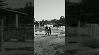 Untitled video