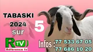5é Épisode ( TABASKI 2024 ) Niko yénneu diankh dji diko wadialé...