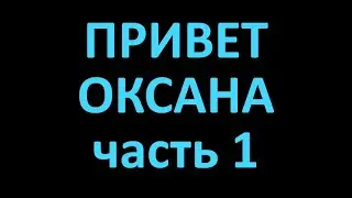 seek global network обзор отзывы