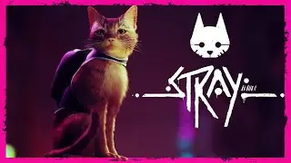 STRAY - A maior aventura Felina - Primeiras Impressões