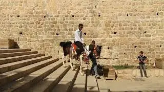 Mardin