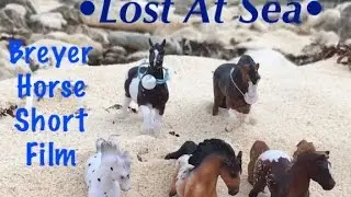 Lost At Sea {Breyer Horse Short Film}
