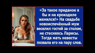 За такое приданое я бы и на крокодиле женился! На свадьбе молодой муж веселил гостей за столом
