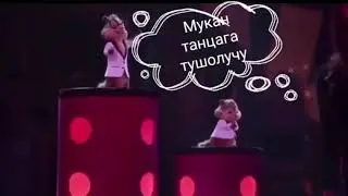 Гулжигит Сатыбеков, кара каш. Бурундуки, прикол