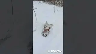 все мы немножко ку-ку 🤪🤪🤪