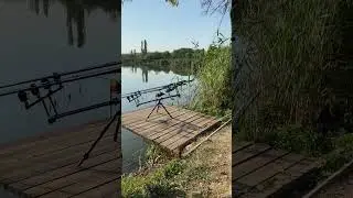 #acapella #crimea #fishing #carpfishing #рыбалка #carp