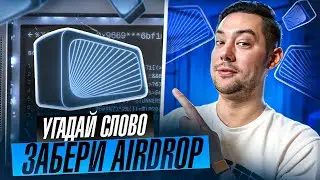 TERMINAL - УГАДАЙ СЛОВО И ЗАБЕРИ AIRDROP | ИНСТРУКЦИЯ