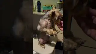 Что за зверь?! 😱 