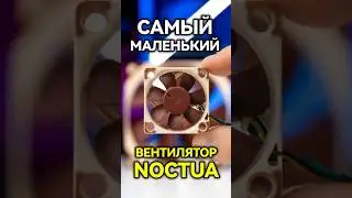 Why does server hardware need such tiny fans? 