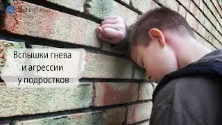 Вспышки гнева и агрессии у подростков  | Ольга Евланова