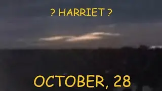 SWFL Eagles - A Cloud In An Eagle In Flight Shape & Form Above The Morning Sky;  Harriet? - No Audio