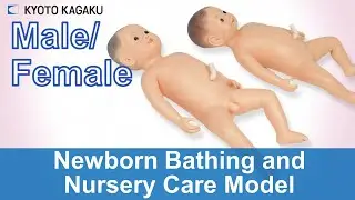 Newborn Bathing and Nursery Care Model M59 M63 Kyoto Kagaku