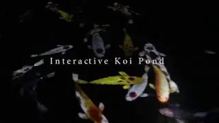 Interactive KOI POND