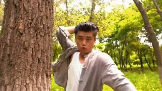Chinese Kung Fu①