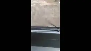 Анти маскитные сетки +тонировка