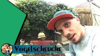 Eine Vogelscheuche fürs Beet