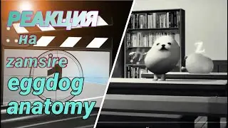 [РЕАКЦИЯ на zamsire]😱eggdog anatomy