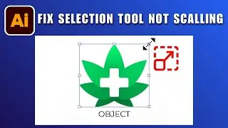 Selection Tool Not Working Not Scaling in Illustrator 2026 SOLVED