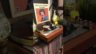 Müslüm gürses - küskünüm (1986 dönemi)