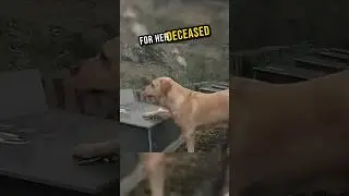 This dog asked for flowers everyday 🥺💔 