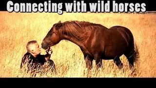 Ultimate Wild-Horse Experience