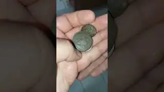 девушка принесла в антикварный магазин монеты, но...