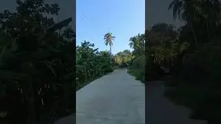 Anda Bohol