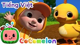 Mười Chú Vịt Con | Bài hát dành cho trẻ em | CoComelon Lồng tiếng việt - Karaoke dành cho trẻ em