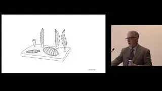 Peter Godfrey-Smith - The Evolution of Experience