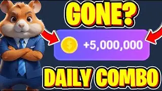 5 September Hamster Kombat Daily Combo Cards | Hamster Kombat Daily Combo Cards 5 September | Combo
