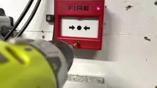 harvey's fp chobolom test