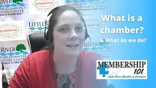 What is a Chamber & How Your Business Can Benefit (Membership 101)