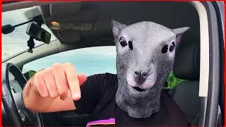 R0ttby - Sobolan la volan  (Official Video)