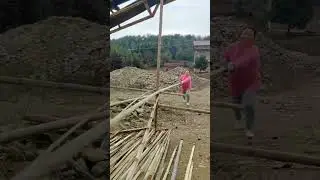 Mẹo chẻ tre khổng lồ #shortsfeed #shots #agriculture