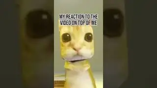 meme of the second #memes #memeoftheweek #funnypictures #funnymemesoftheday #funny #memefunny #edit