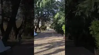 Сочи Приморский парк 23.12.2022 