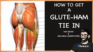 How to get a GLUTE-HAM TIE IN for Bikini & Wellness Competitors | Free Mini Course |