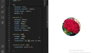 CSS Image Hover Effect | Frontend Magic🔥