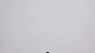 Ink free footage Bundle Collection - Ink Blast 005