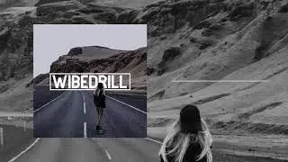 Majestic Overlord & Shrylox - Wibedrill