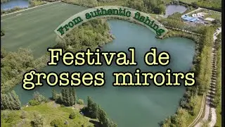 Pêche de la carpe **Festival de grosses miroirs**
